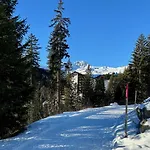 Apartment Sauna, Pool, Gym, Skishuttle Inkl Ski-in